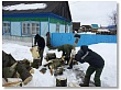 Волонтеры из Красного Яра помогли пенсионерке расколоть дрова